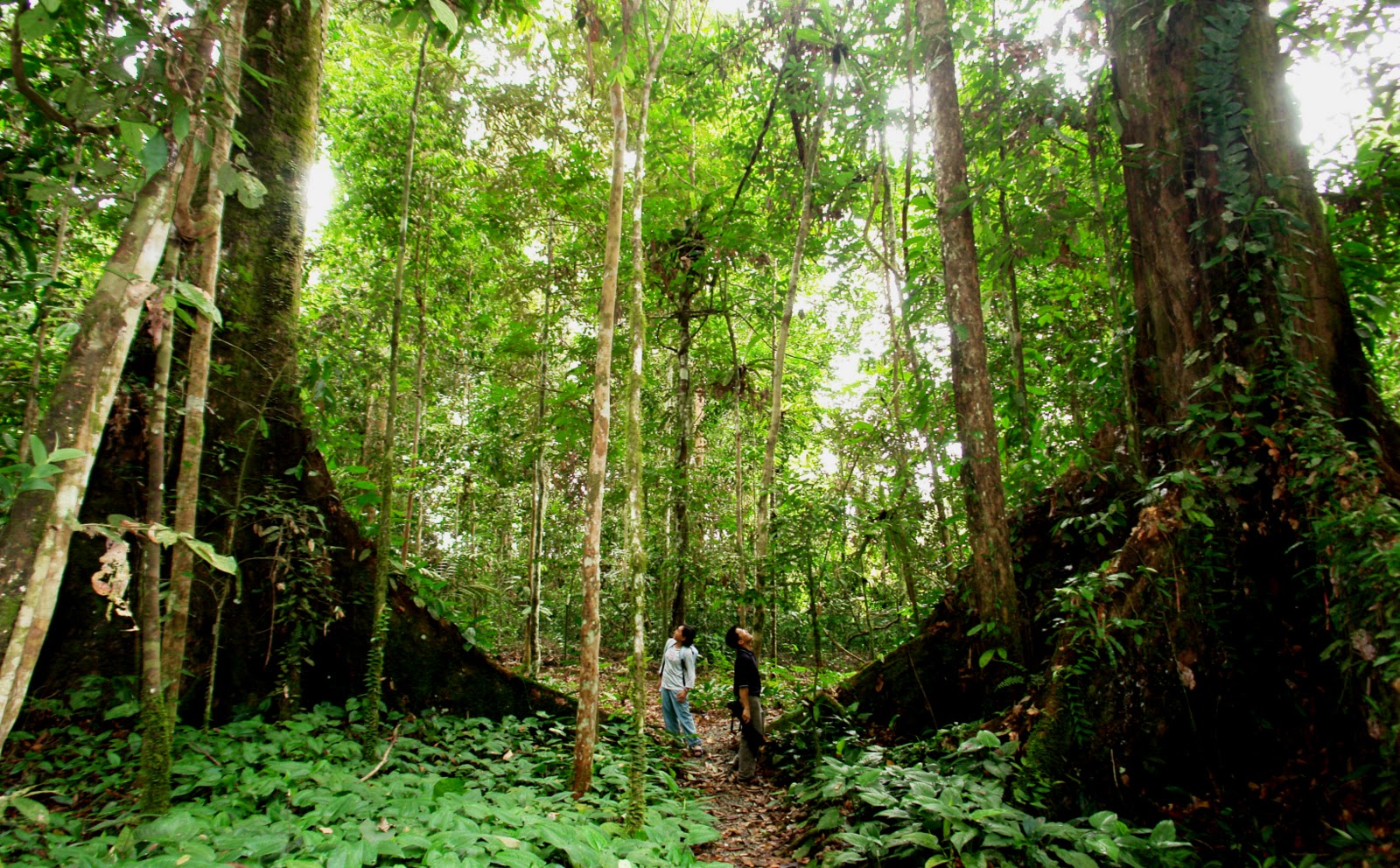 Beautiful places near Saigon you should come